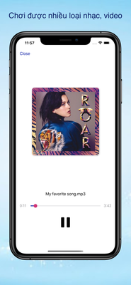 iPhone 11 Pro Max-Audio_framed.png