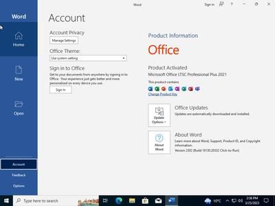Windows 10 22H2 build  AIO 16in1 With Office 2021 Pro Plus  Multilingual Preactivated (x64)