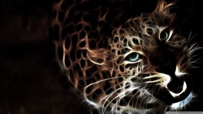 glowing_leopard-wallpaper-1920x1080.jpg