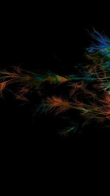 1440x2560-feather_colorful_feathers_abstract-6483.jpg