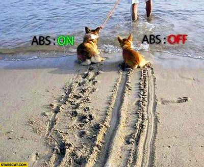 dogs-pulled-into-water-abs-on-off-comparison-anti-lock-braking-system (1).jpg