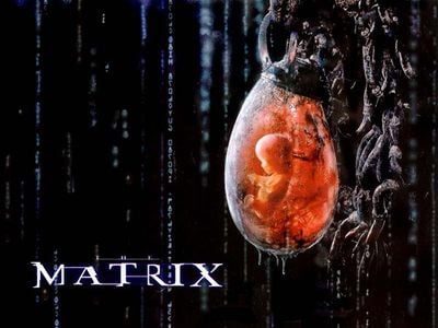 matrix-podgrown-155106735932064906905.jpg