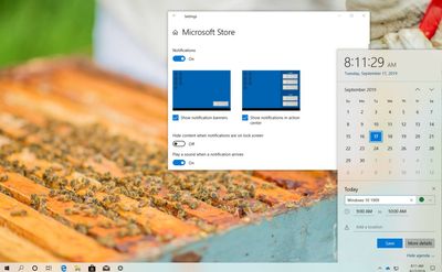 Cover_Windows101909.jpg