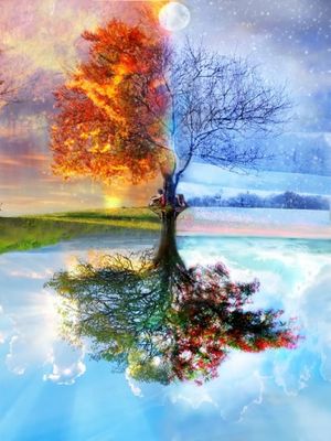 Tree-in-Four-Seasons.jpg