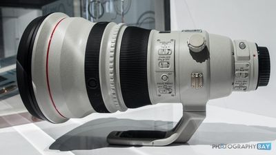 Canon-600mm-f4L-DO-BR-Lens-15-700x394.jpg