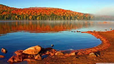 lake_shore_autumn-wallpaper-1366x768.jpg