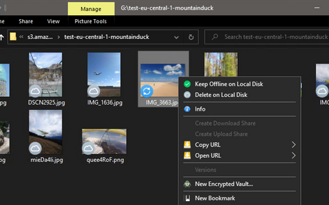 Mountain Duck 4.14.4.21440 download the new version for windows