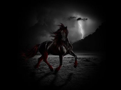 Hình nền Nền Cận Cảnh Một Con Ngựa đẹp đứng Trong Khung Cảnh Ngoài Trời Nền,  Hình ảnh Con Ngựa Màu đỏ, Ngựa, Màu đỏ Background Vector để tải xuống miễn  phí -