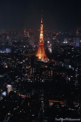 Tokyo-by-night.jpg