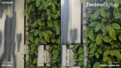 HTC-One-vs-Nokia-Lumia-920-Camera-Outdoor-Leaves.jpg